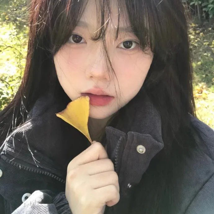 明星申银秀 